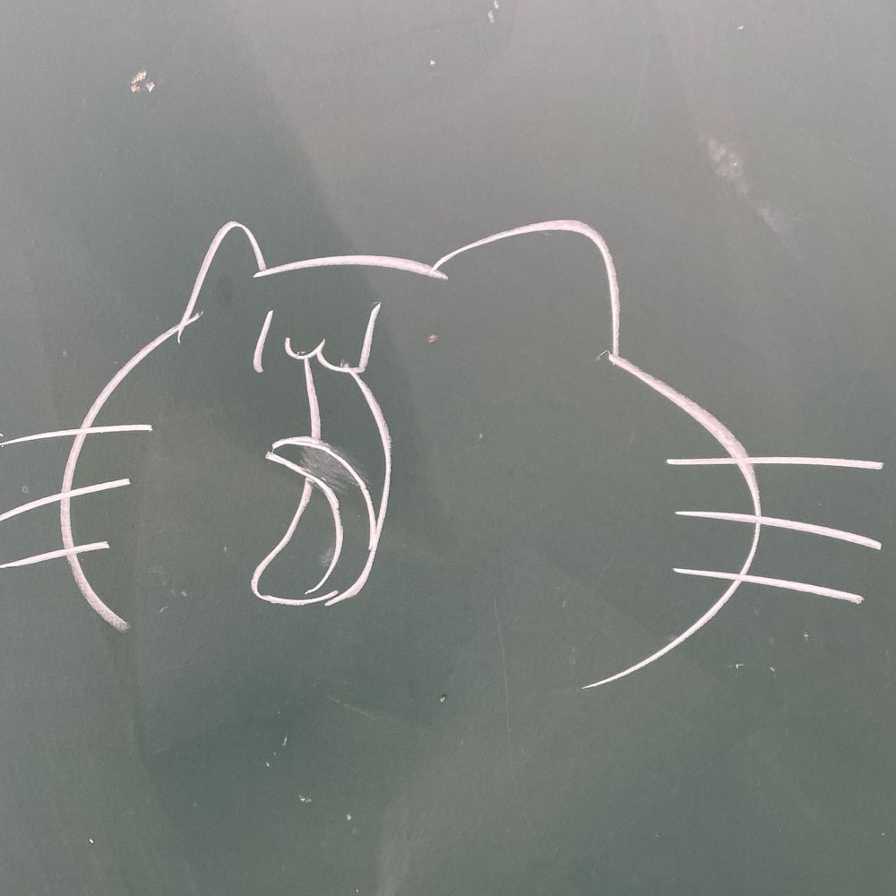 城猫