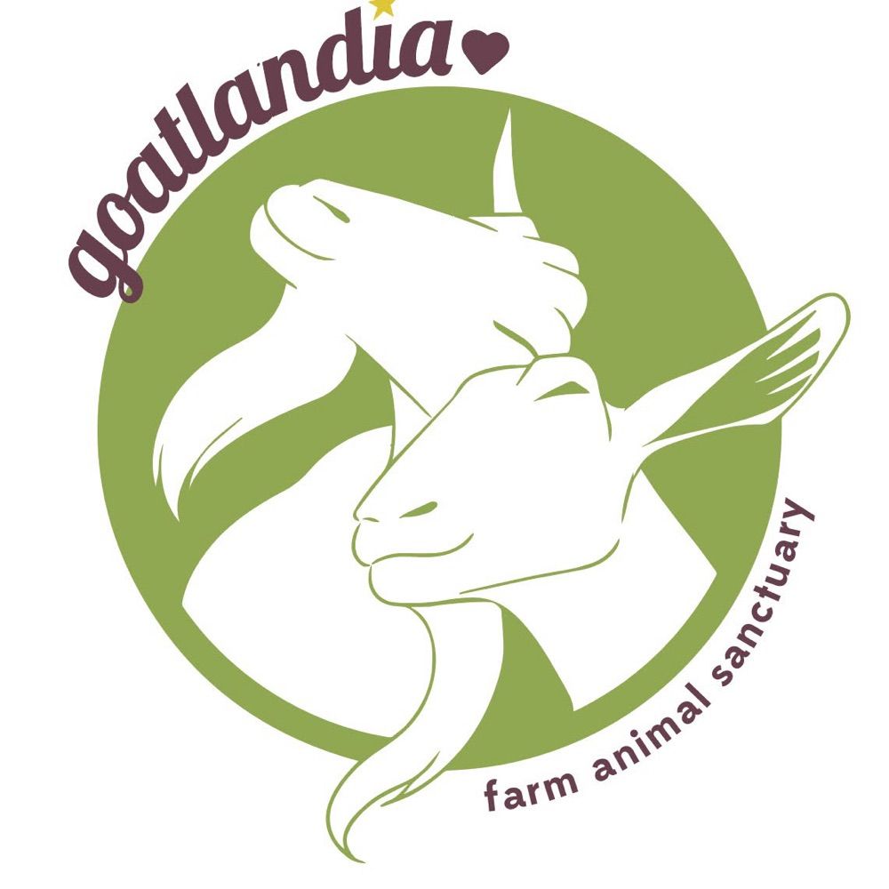 Goatlandia Farm Animal Sanctuary