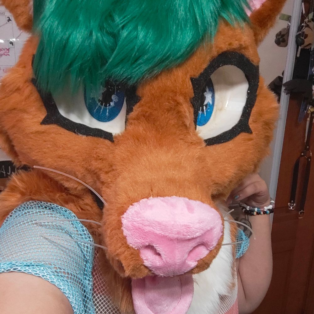 Coyote Kisses ╶⃝⃤𓃥