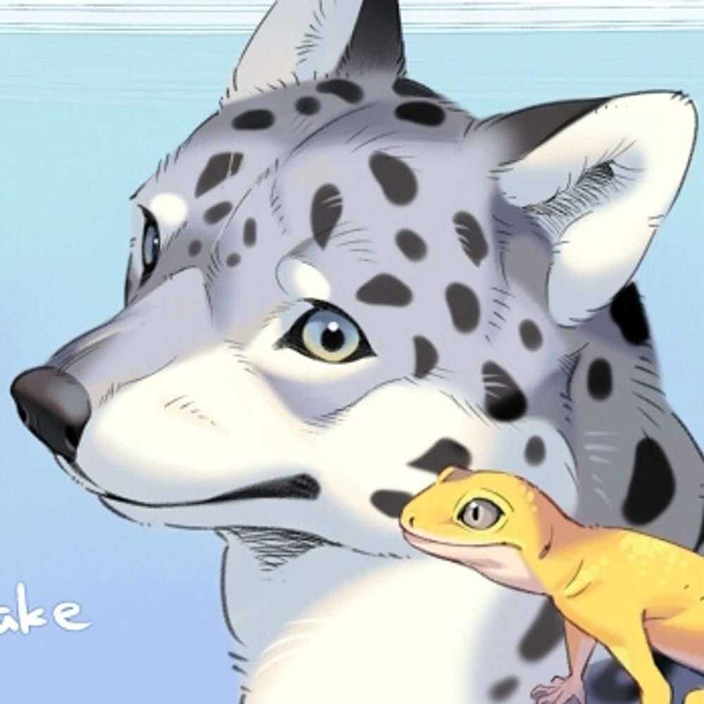 Kamitake(05)