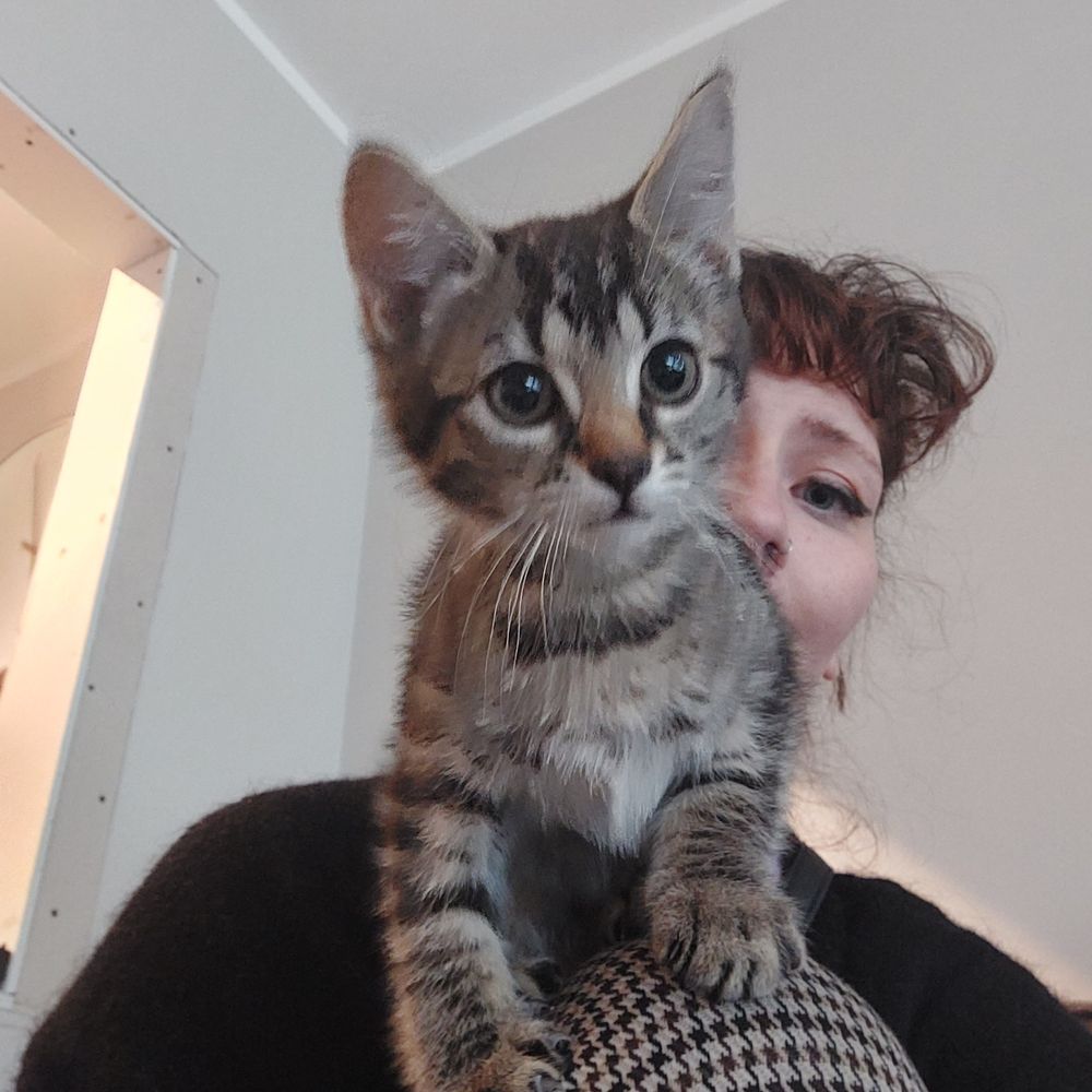 Mswittywitch 