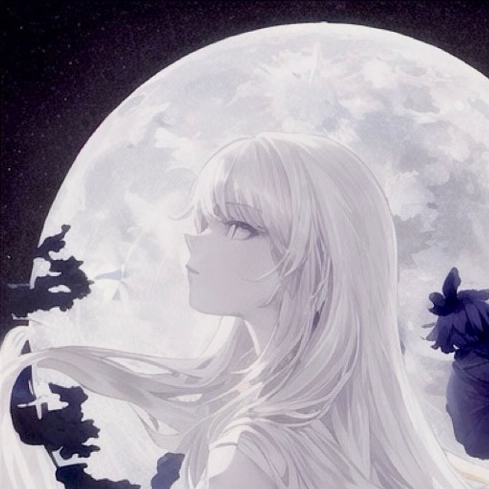 月夜🌙