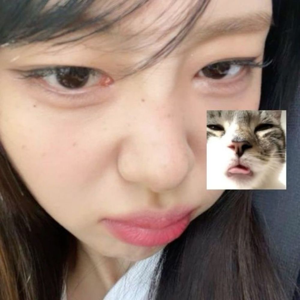 lulluaby⁶ ★彡