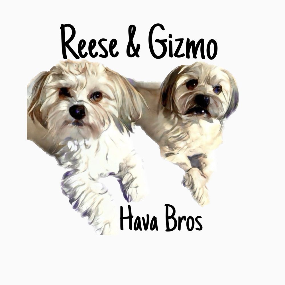 Reese and Gizmo