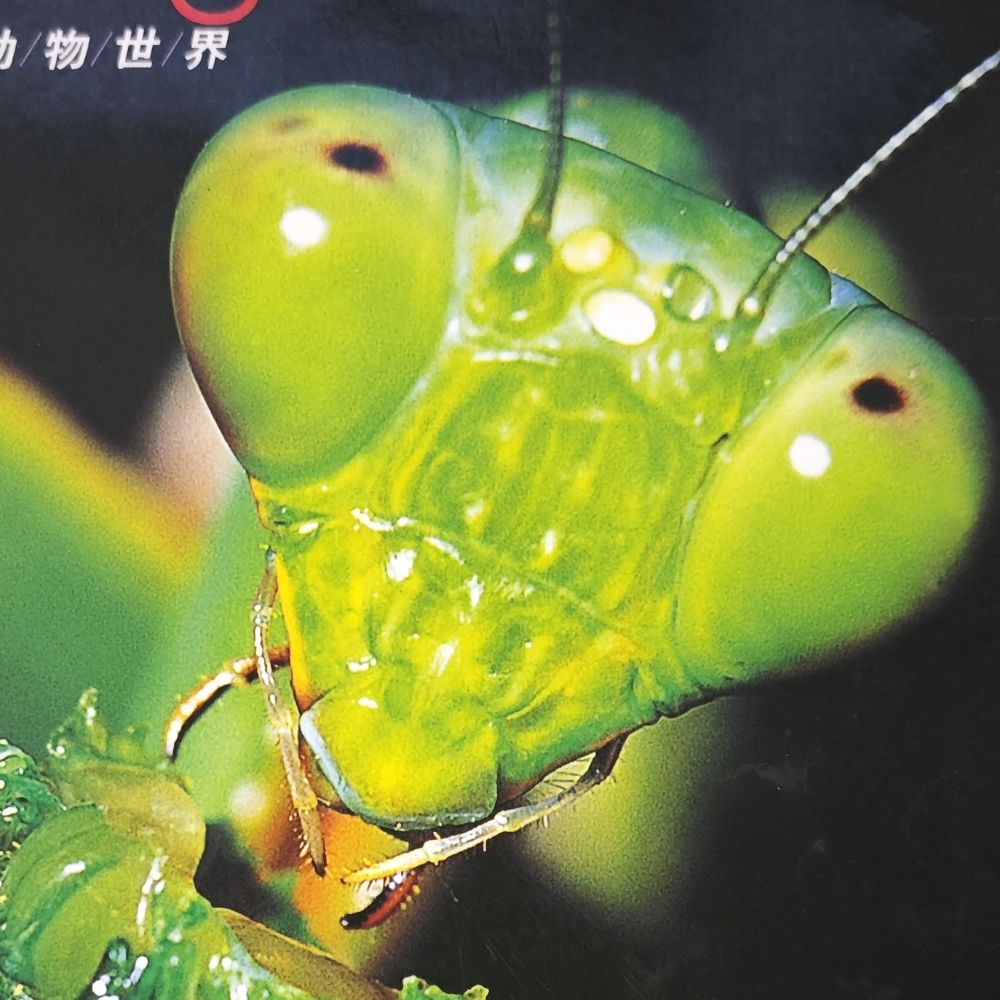 VeGXenon