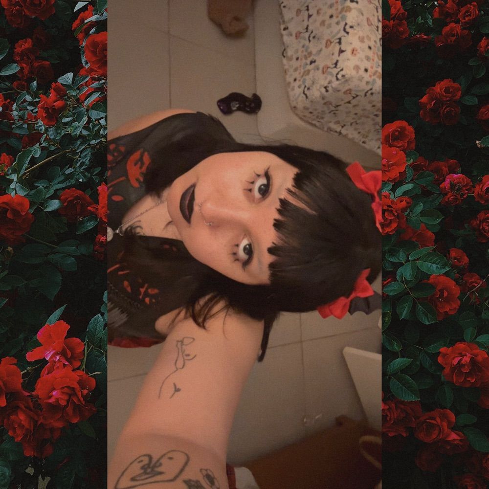 ˳ ₊✧˚☆*camila*☆˚✧₊˳