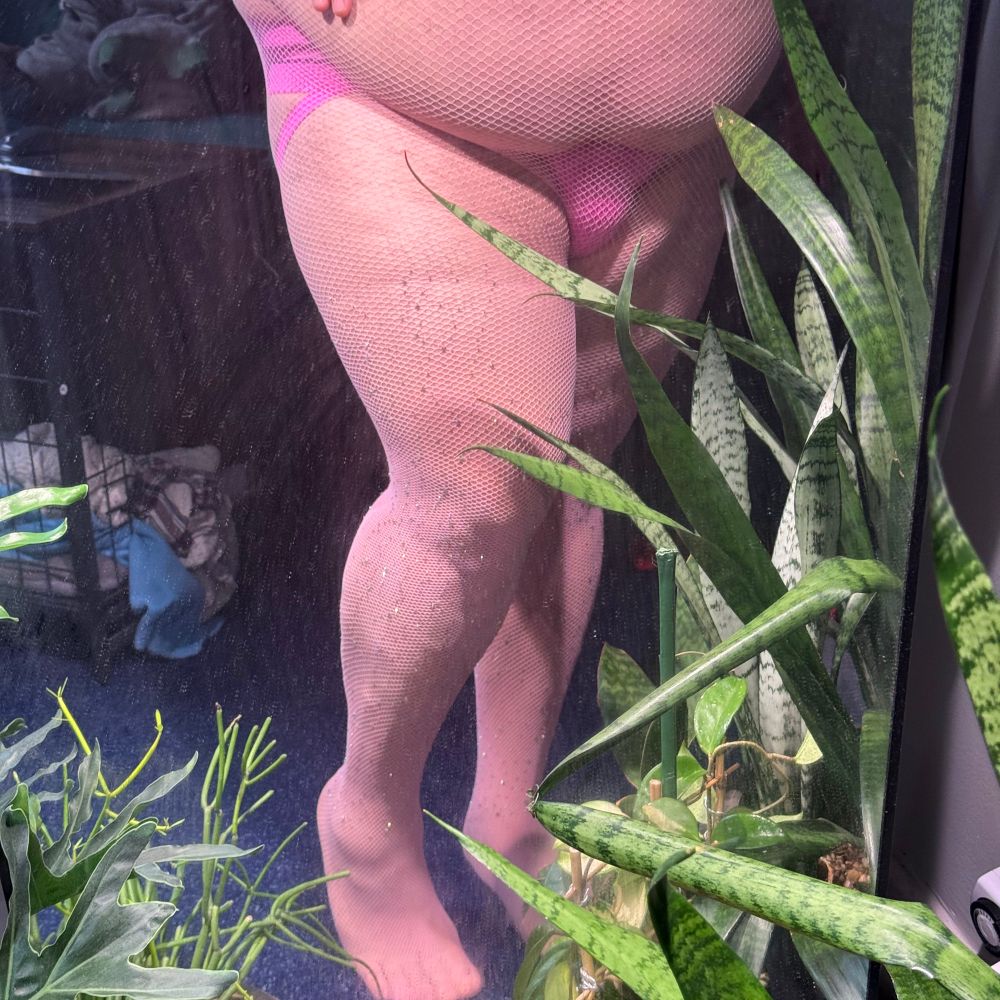 🧸Chicago cub bottom🧸