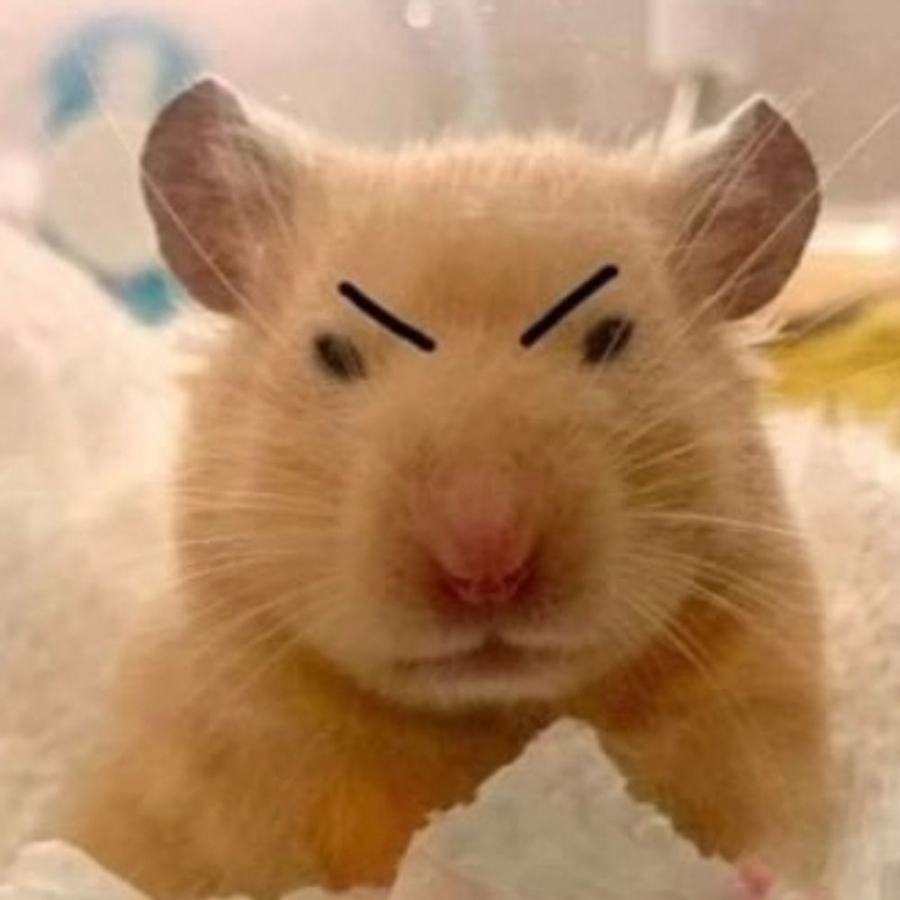 헤당