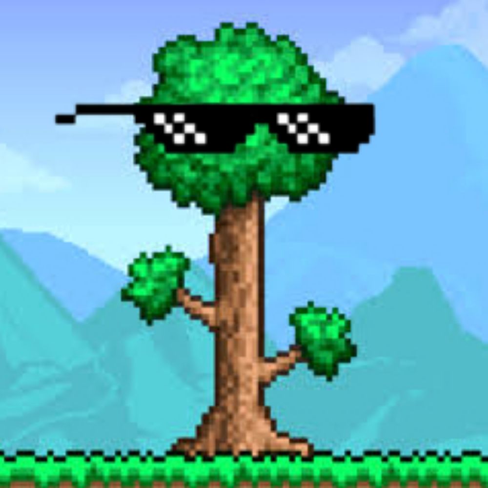 Terraria Memes