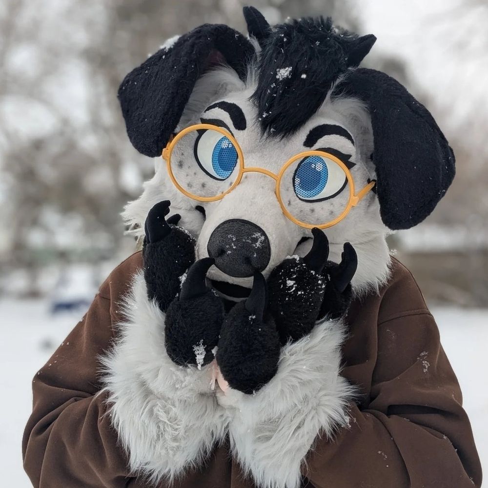 💞 Wolfie! 🏳️‍🌈