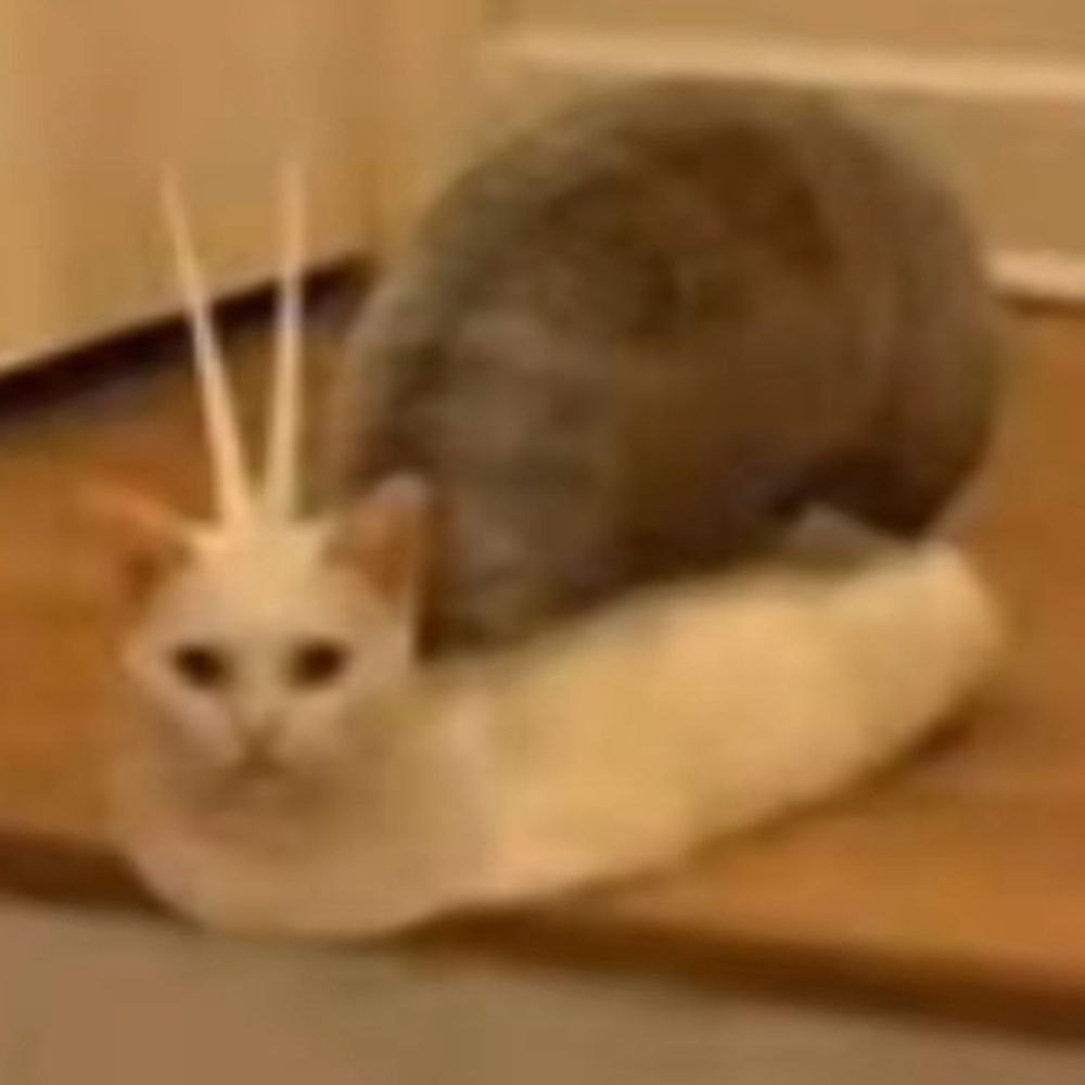 Pan