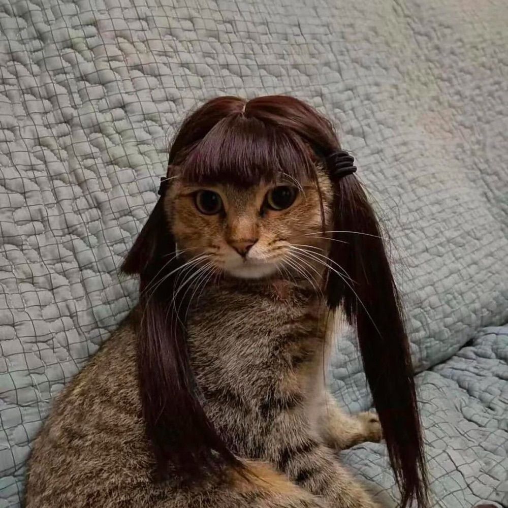 Jennifer Kalashian