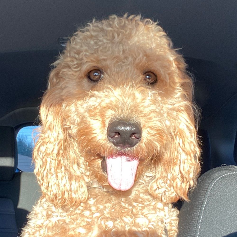Jeffrey Max