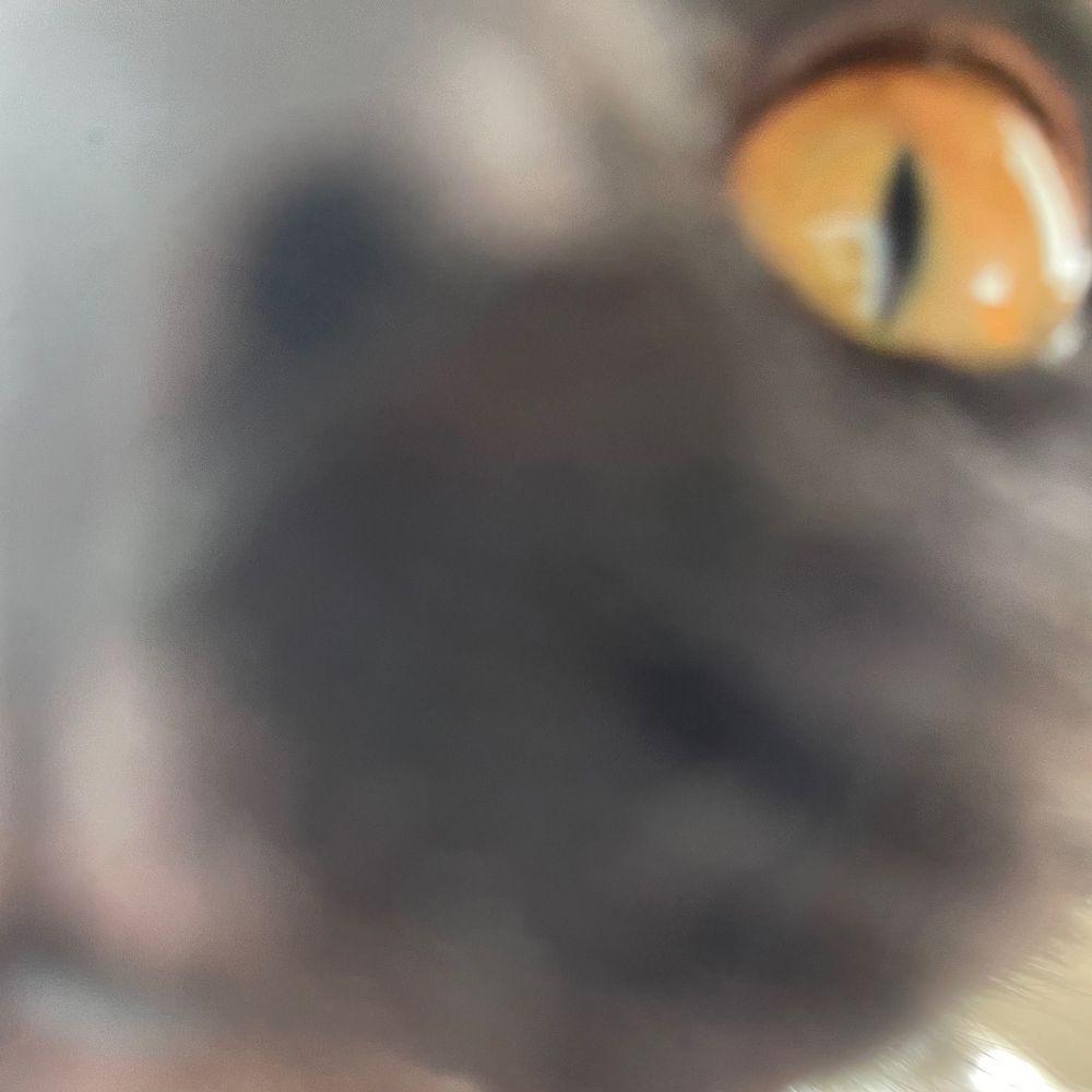 _