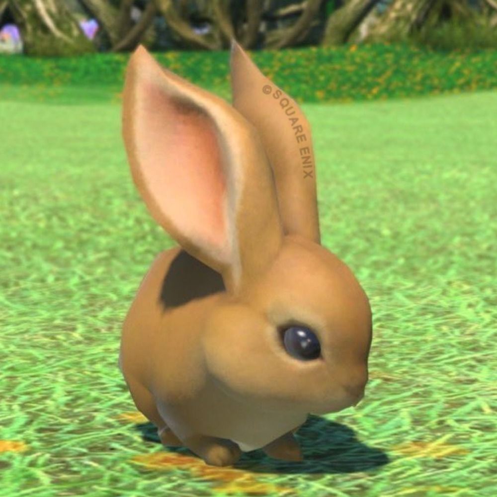 Claude❖