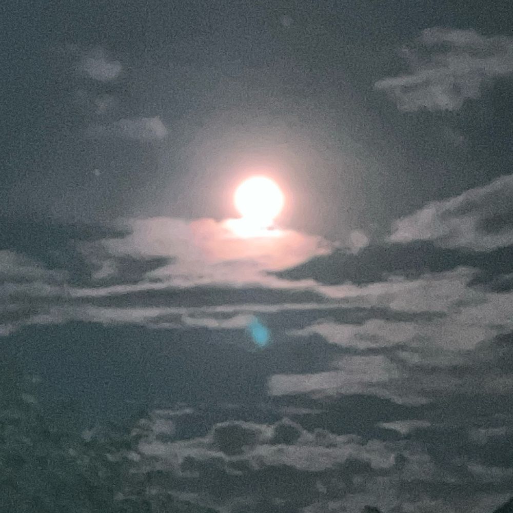 はぁー