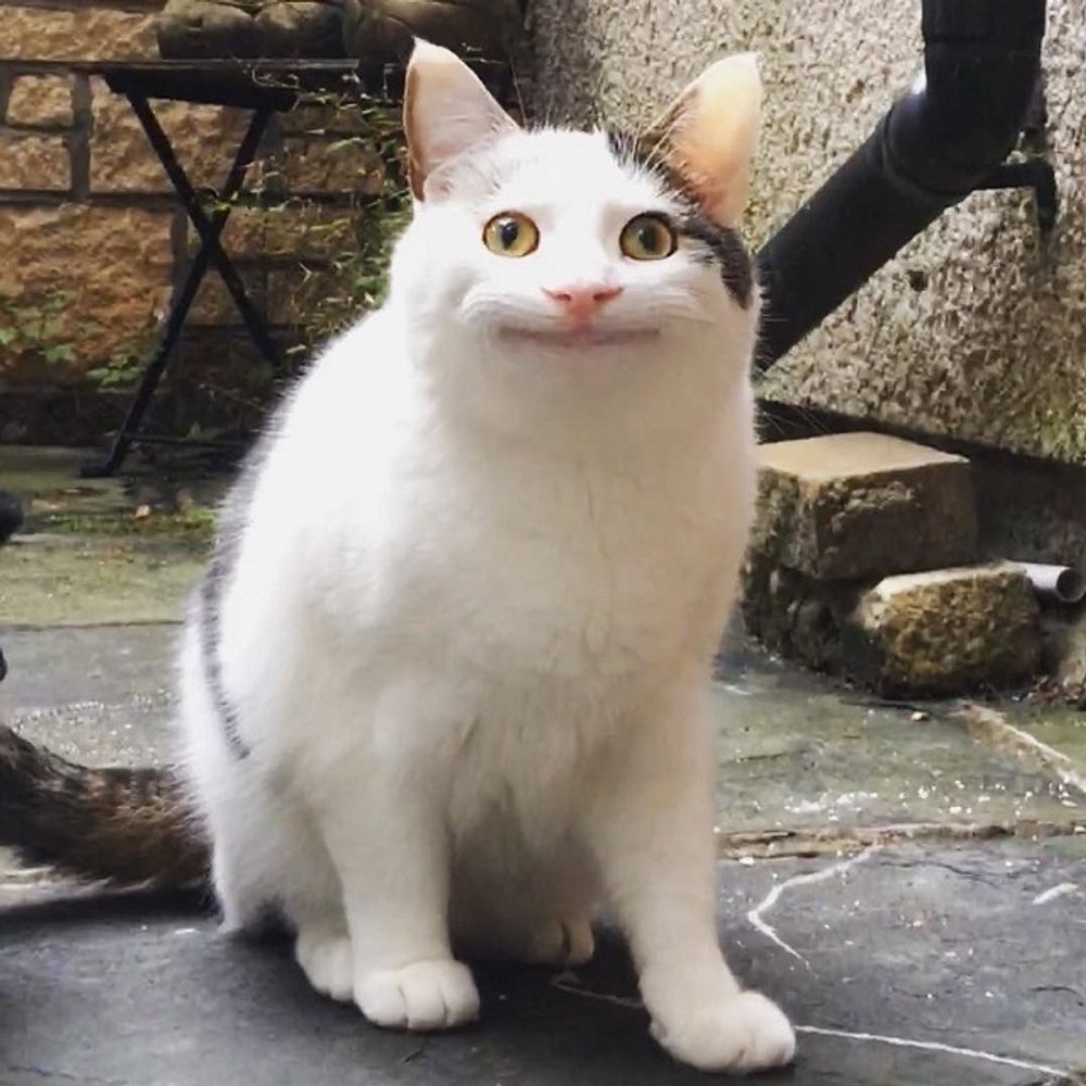 ちあきちゃん