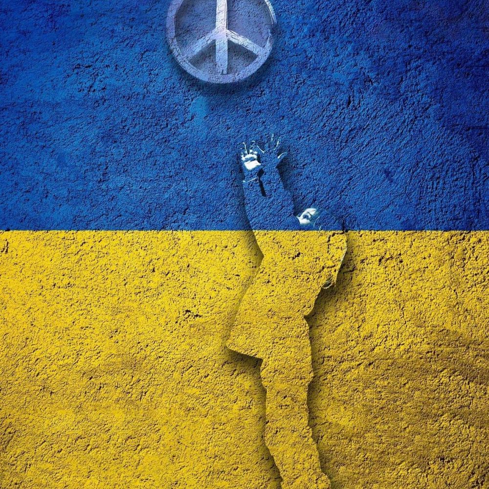 freedom-defender.bsky.social profile picture