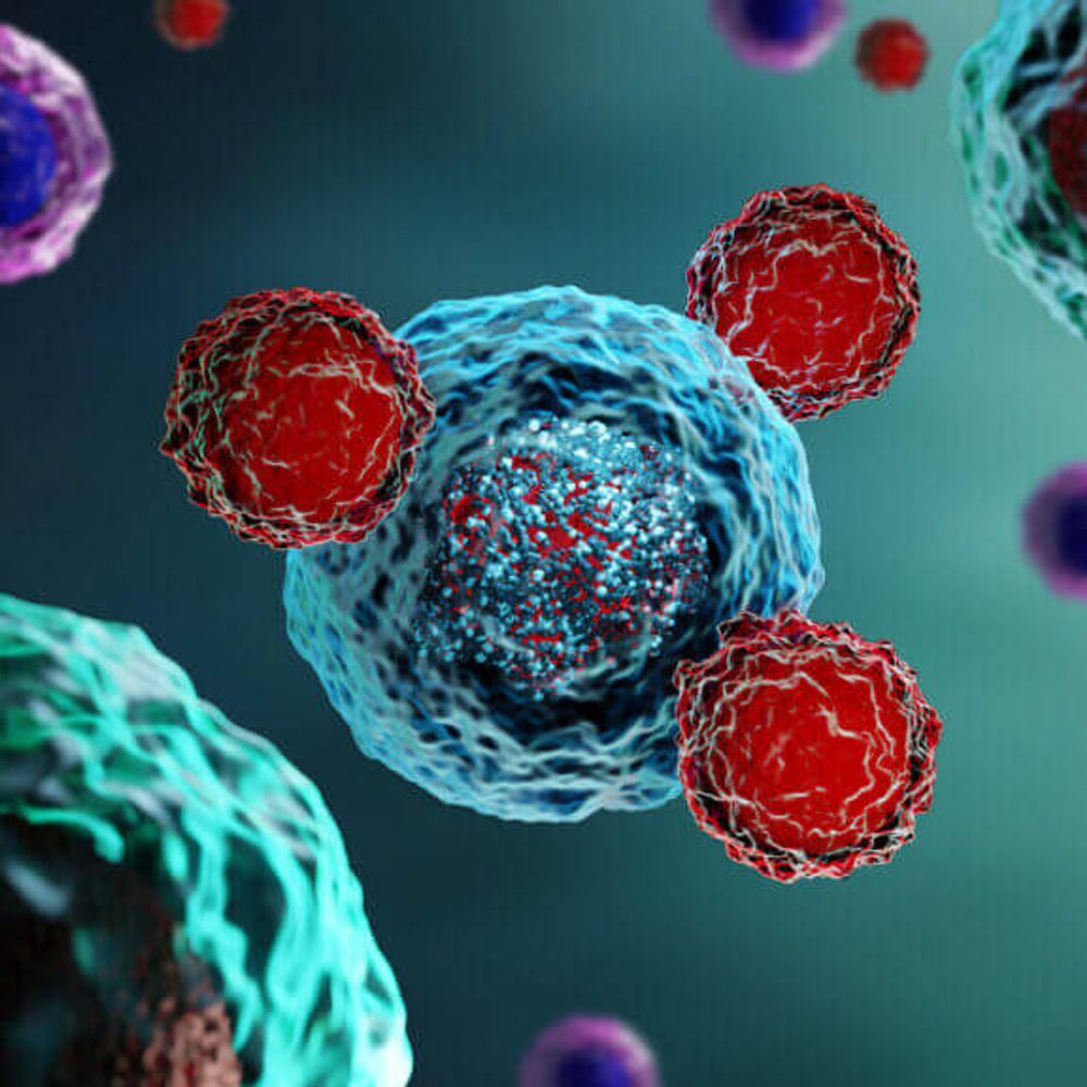 Fund Immunotherapy Ireland