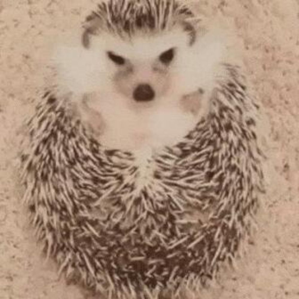 Эш