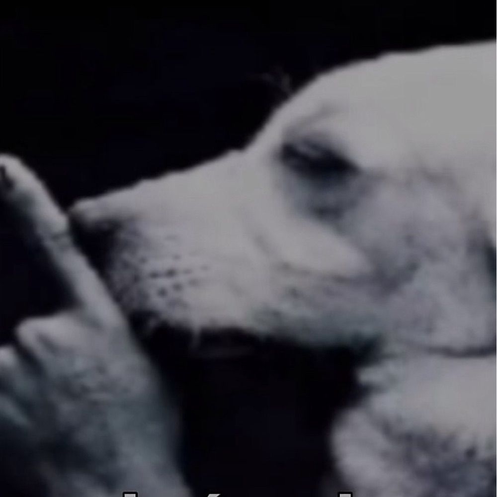 ㅤ