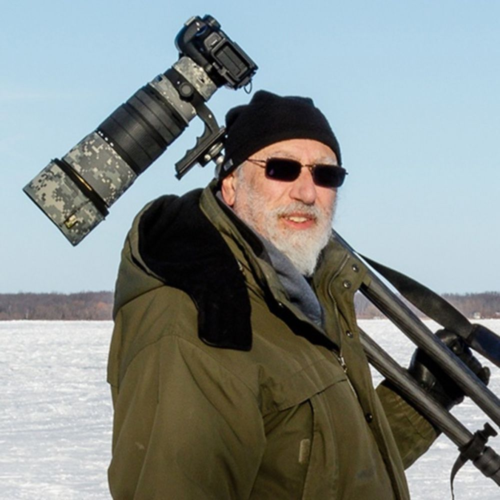 Peter Pauer