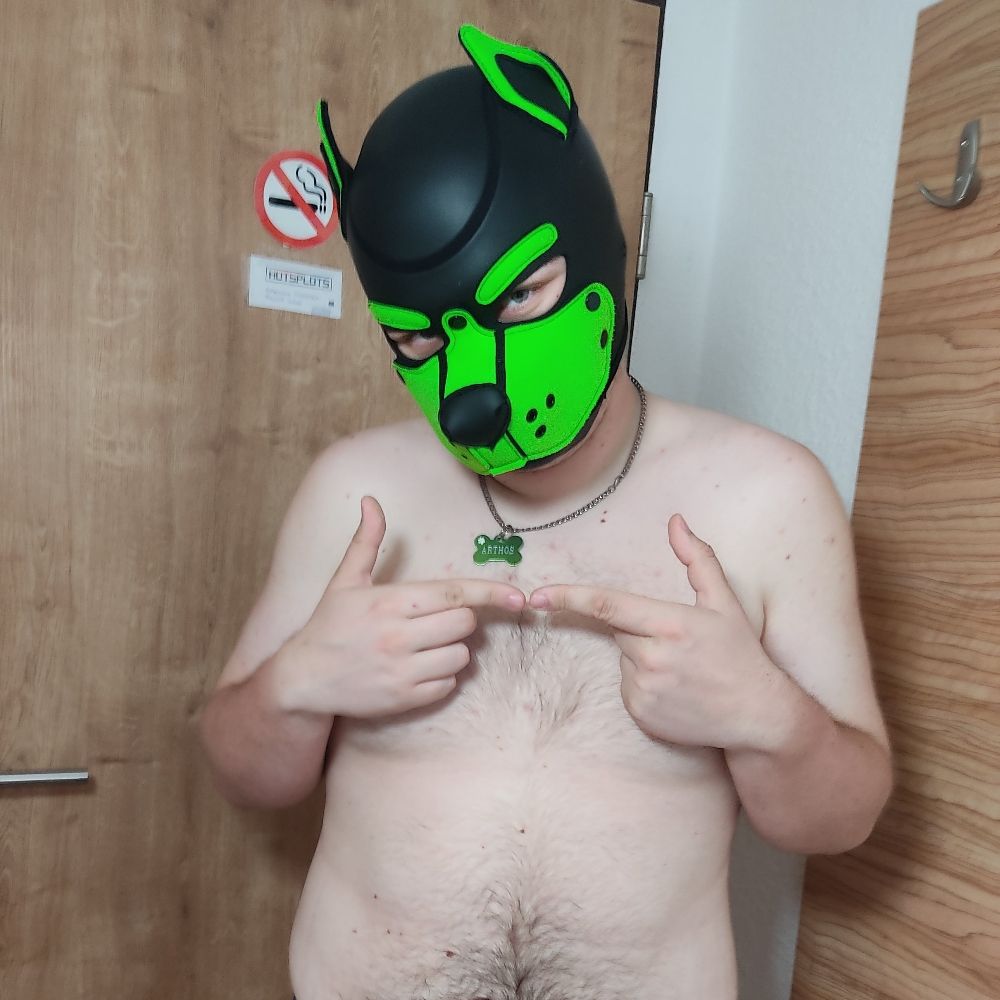 Pup Arthos