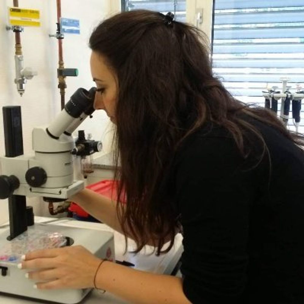 Anna Papageorgiou