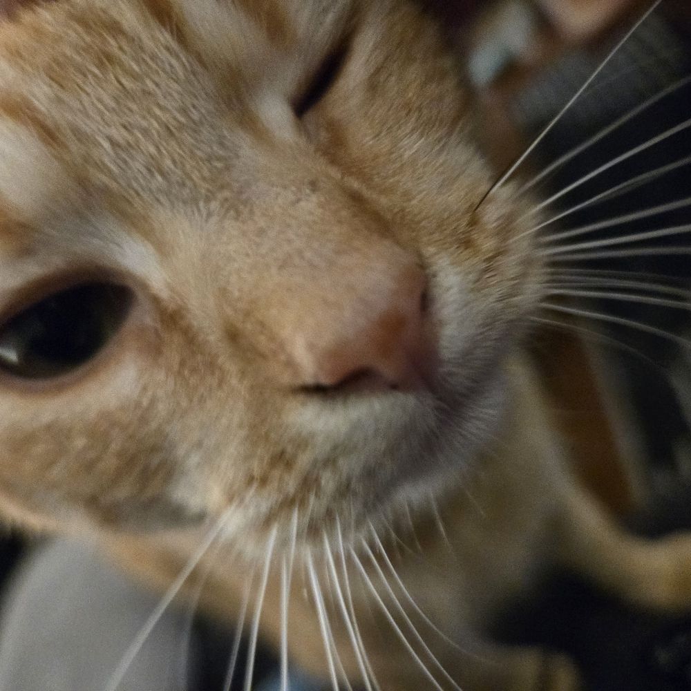 Parker