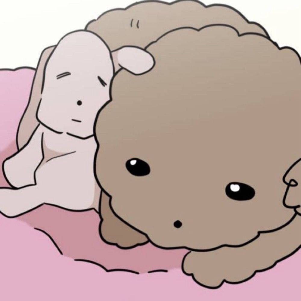 쵸이