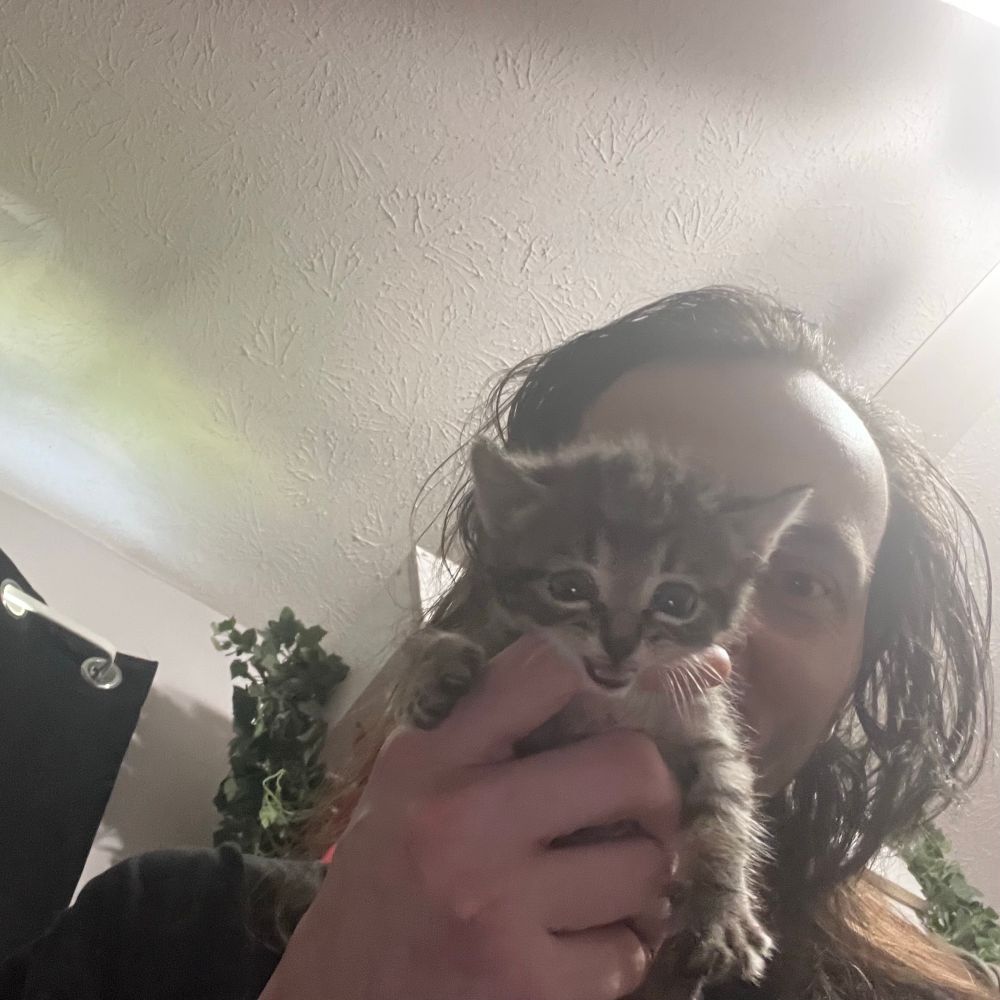Byrd I have a baby Mogwai