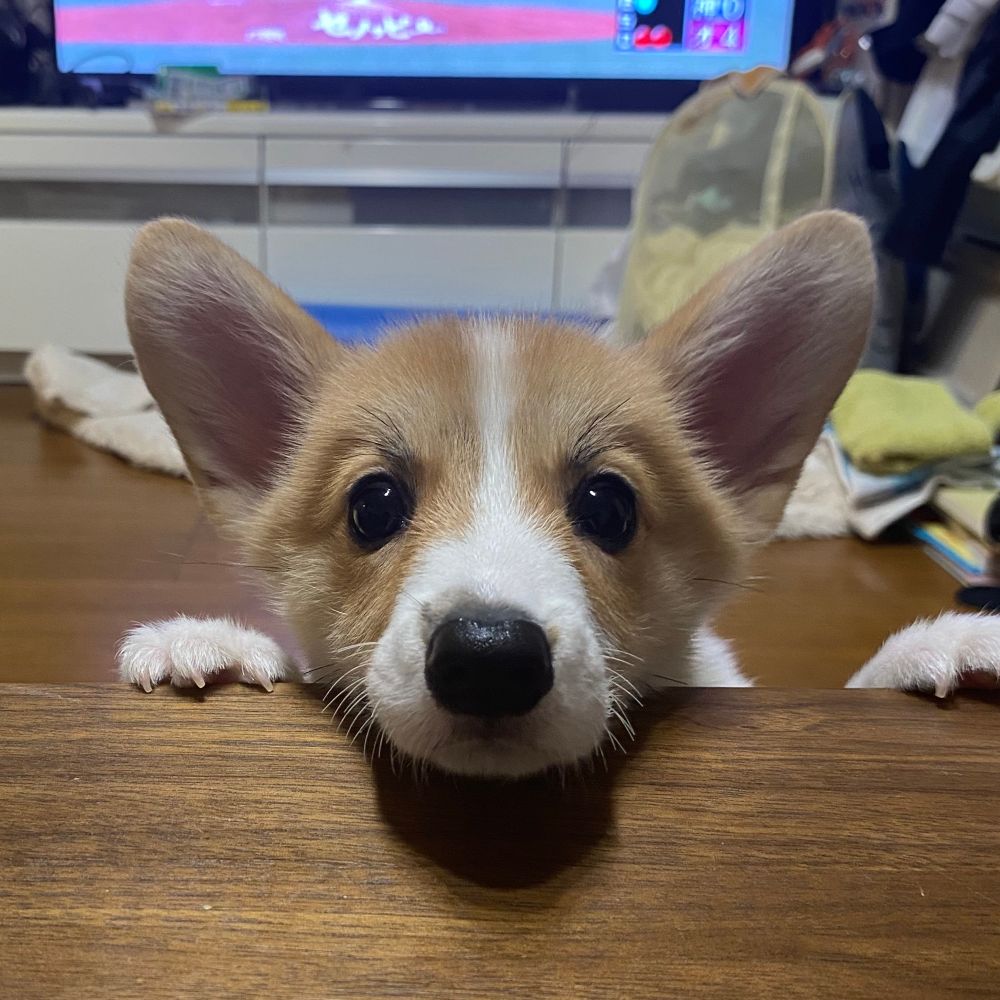 オリバー