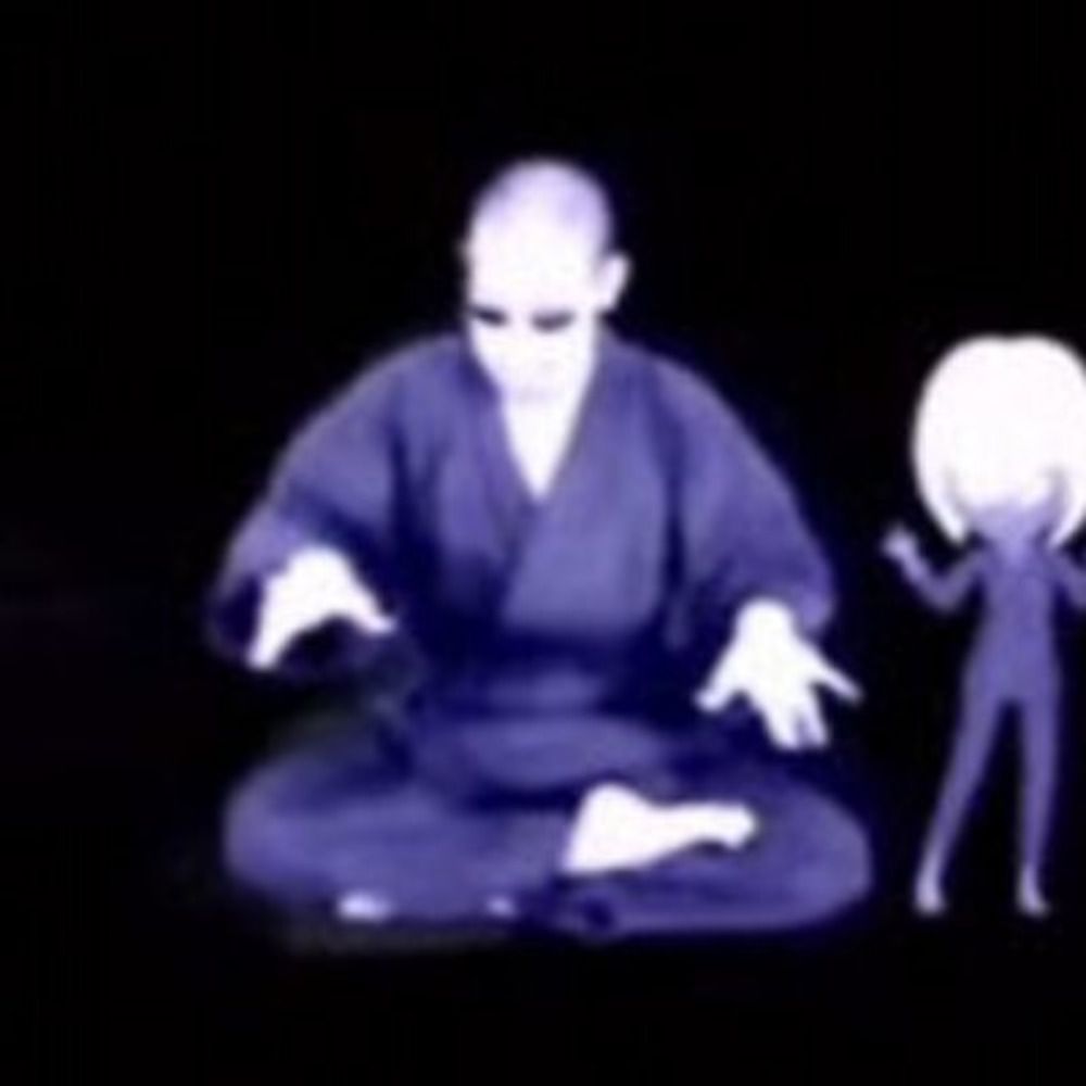 ひや(フッサー)