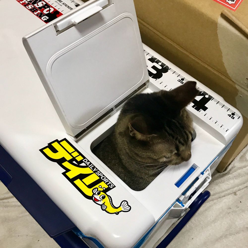 ぬこ.提督