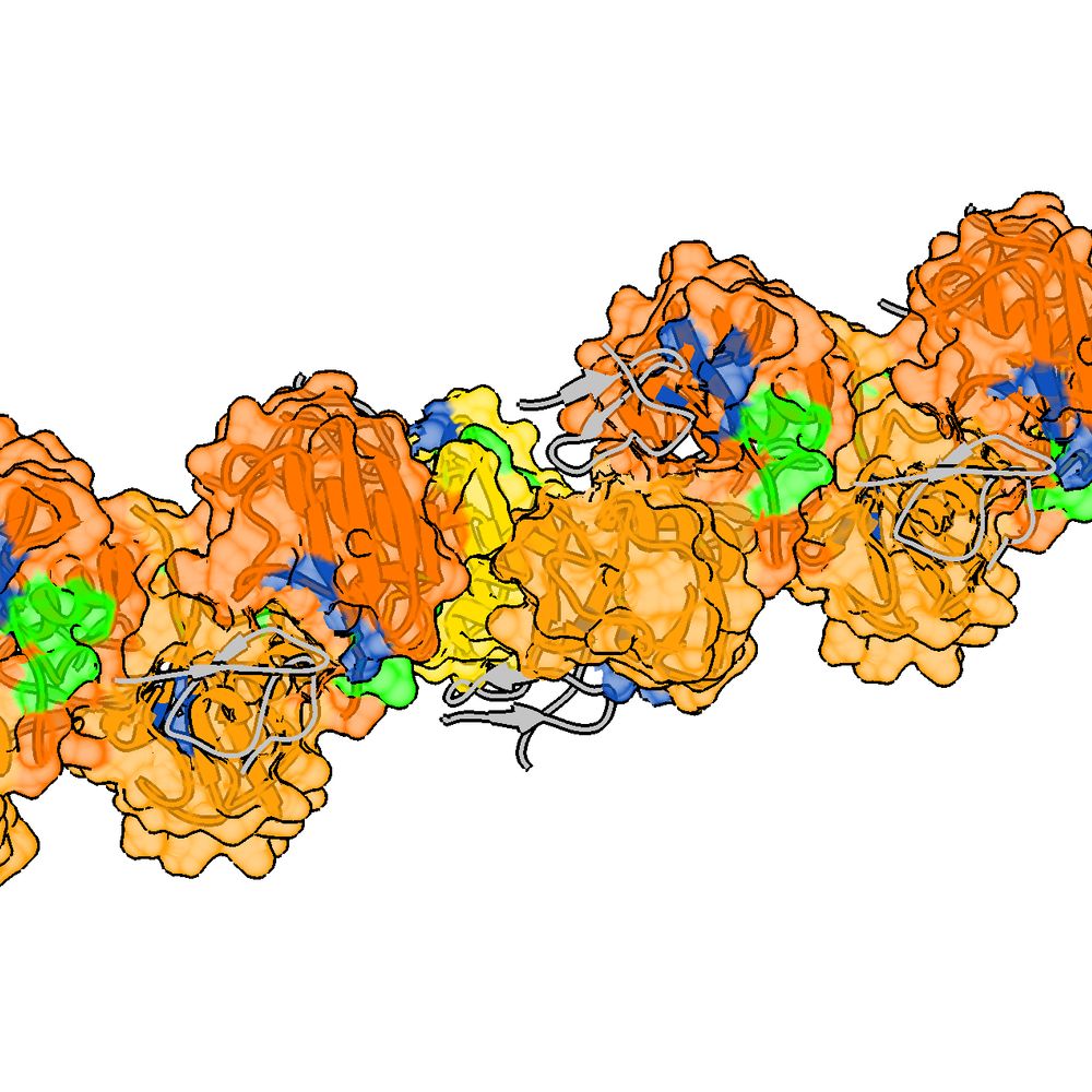 Komander Lab