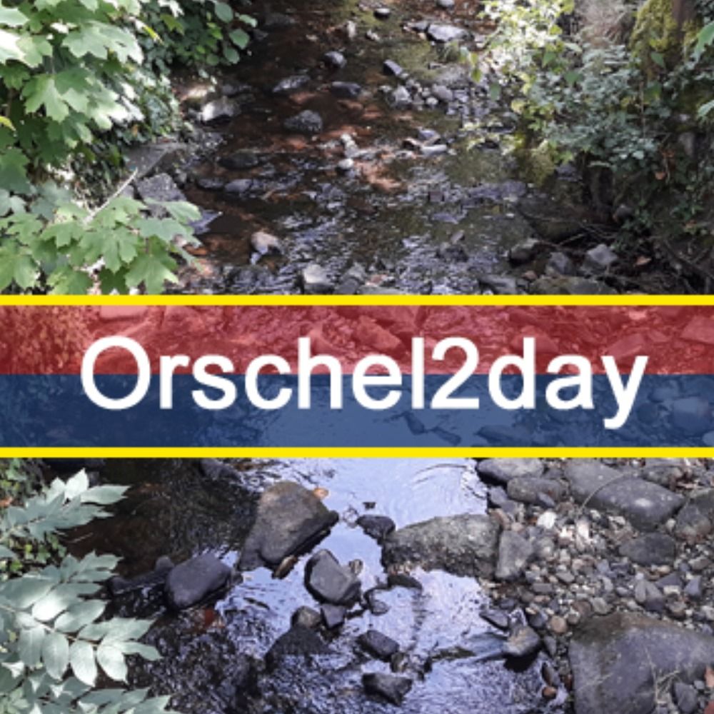 Orschel2day