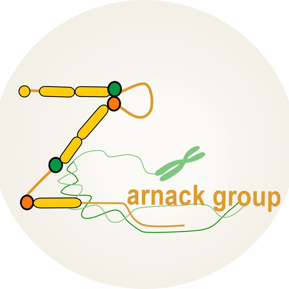Zarnack Group