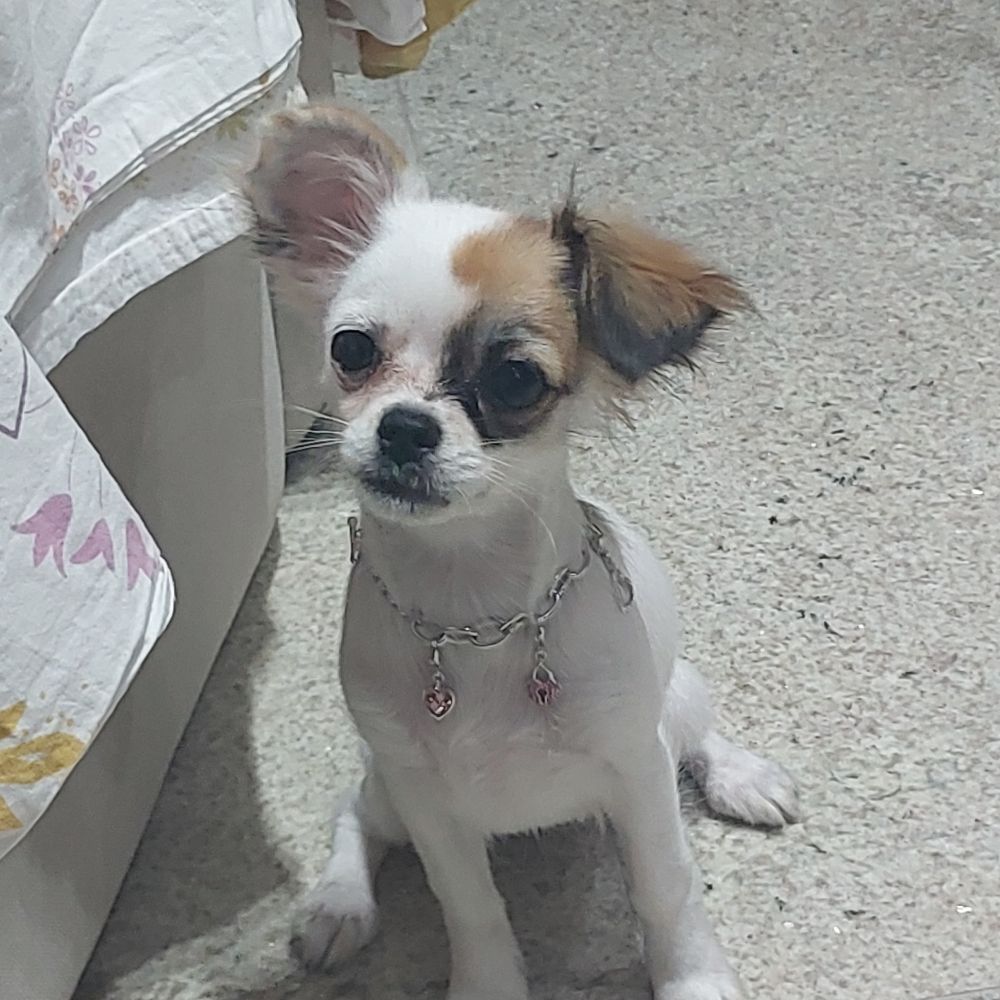 Manu