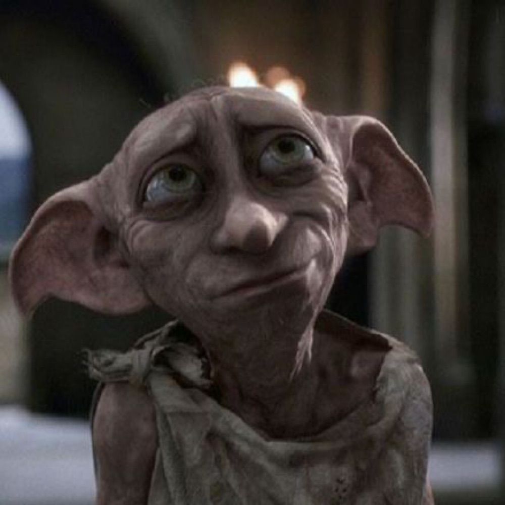 Dobby06