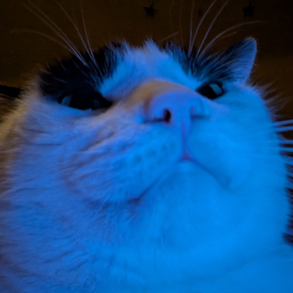 Emmie