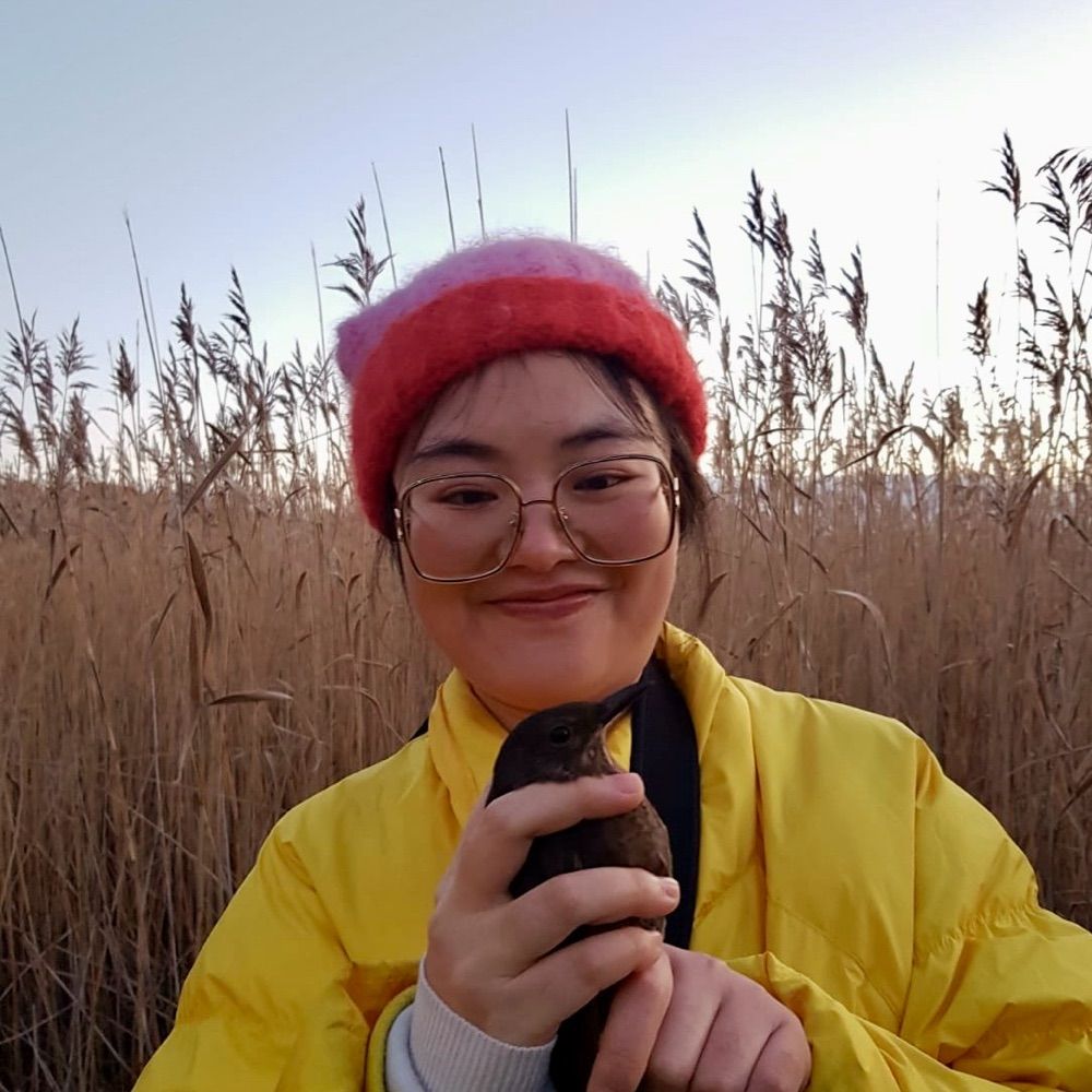 Yanjie Xu 🌏🐧
