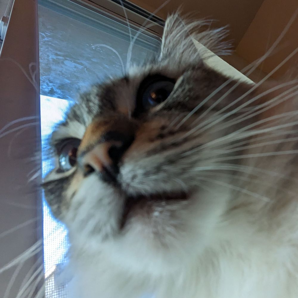 Pep