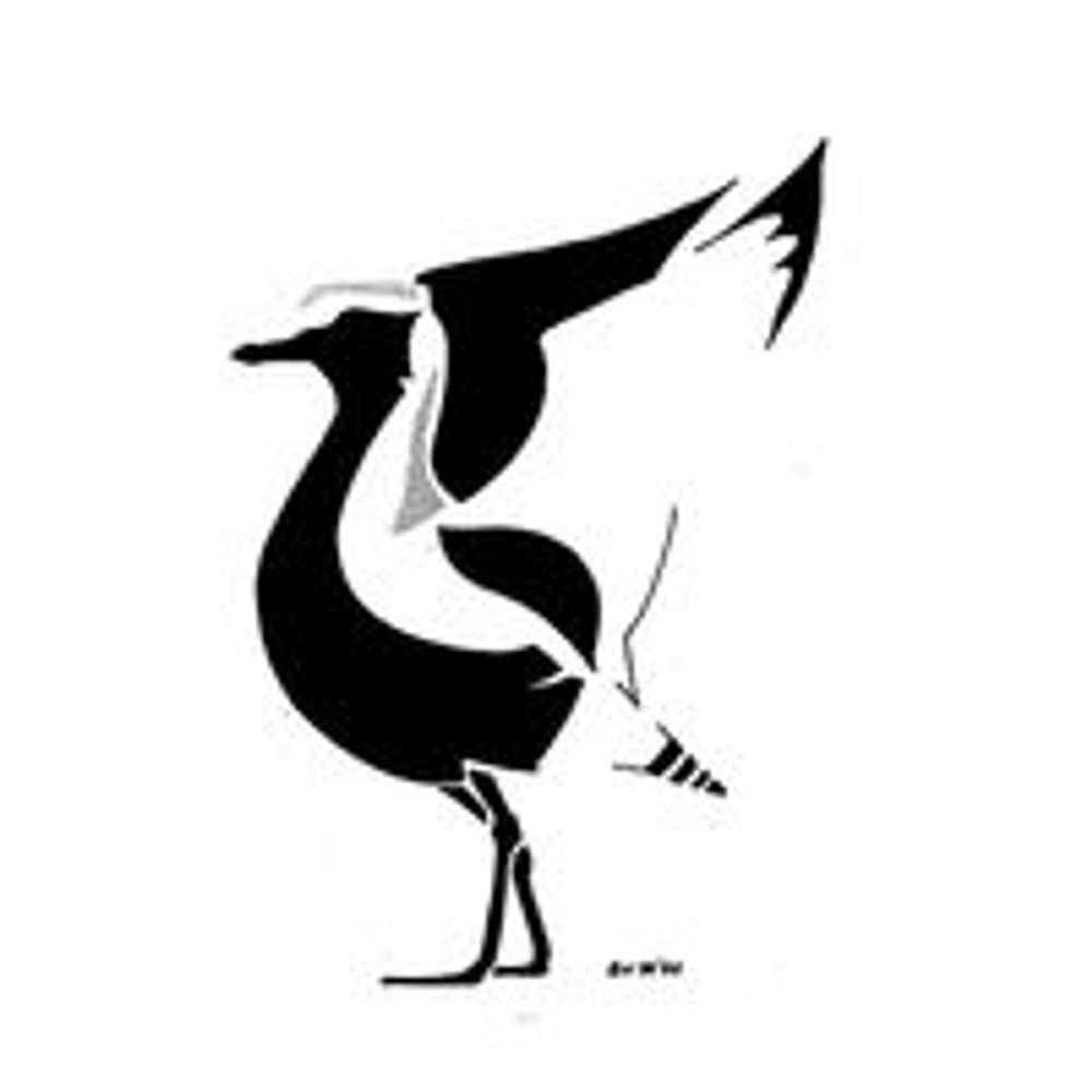 Wash Wader Research Group