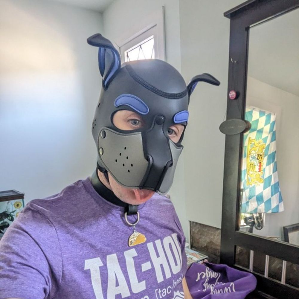 Taco Pup