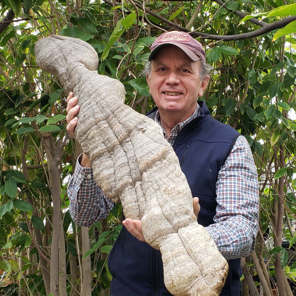 Robert (Bob) Blanchette