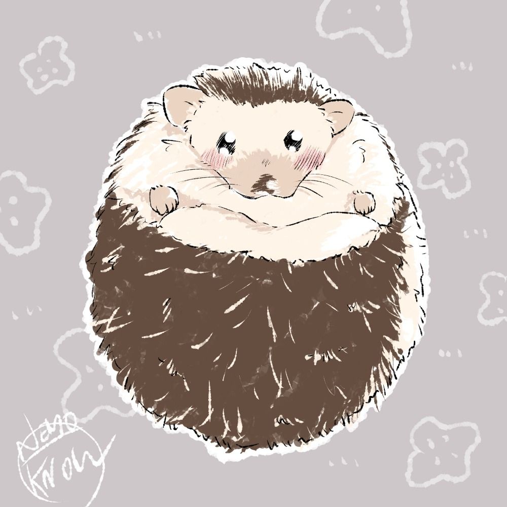 ふぃぎゅ