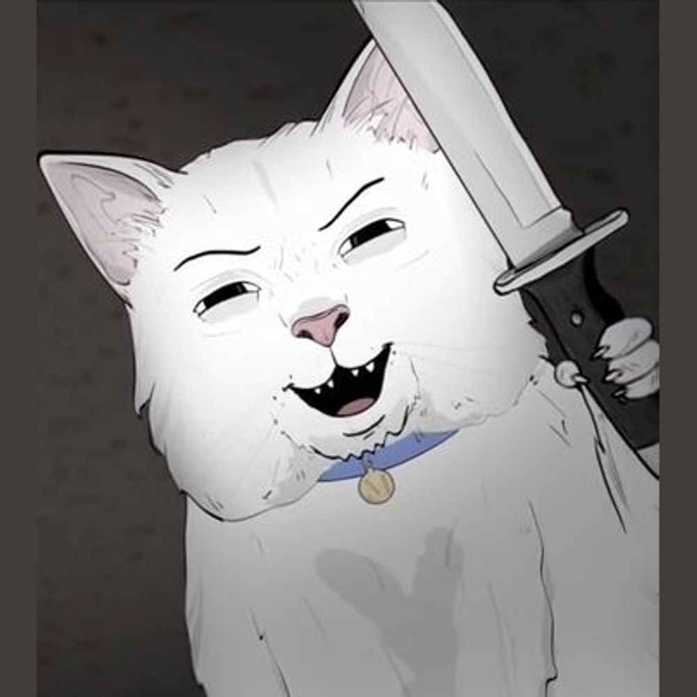 Cranky Cat
