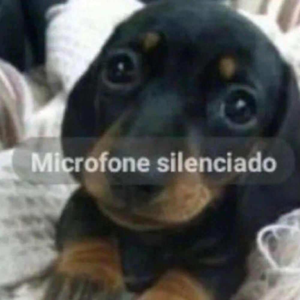 pinto bosta cu mijo