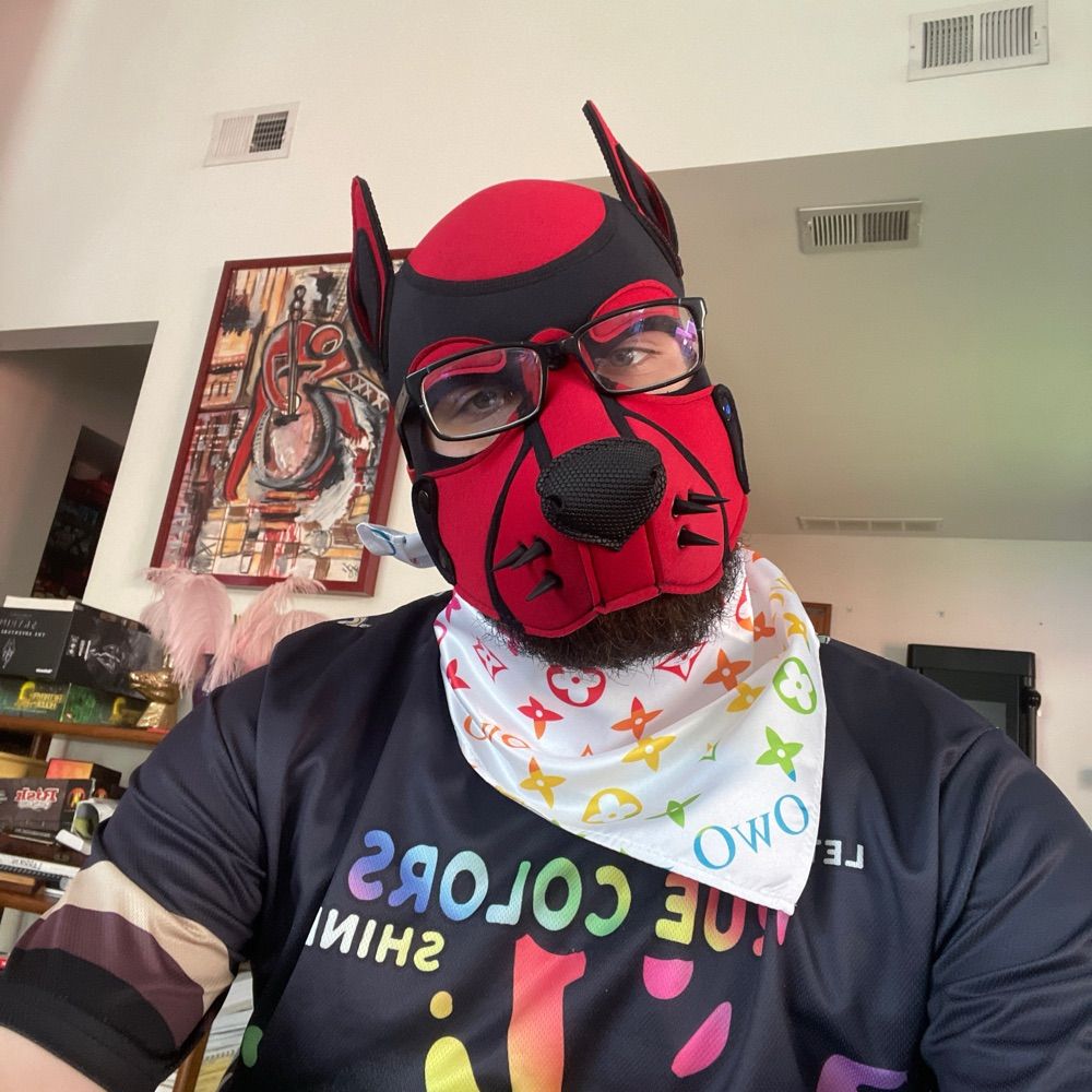 Pup Ryder