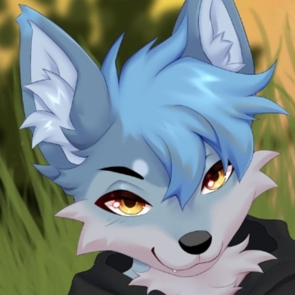 Novi